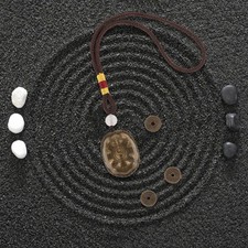  1 set Creativo Guscio di