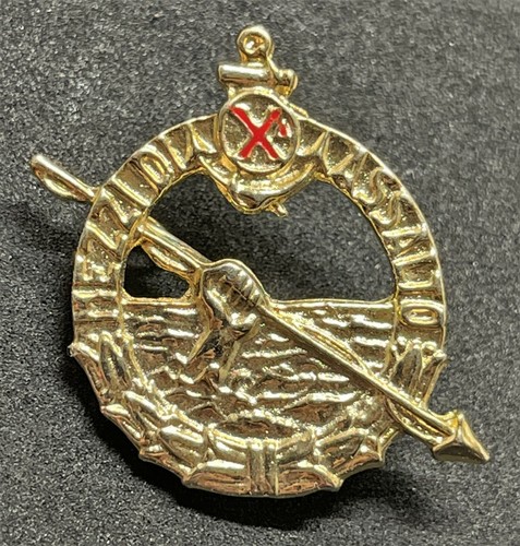 Distintivo reparti assalto - distintivo, d'assalto