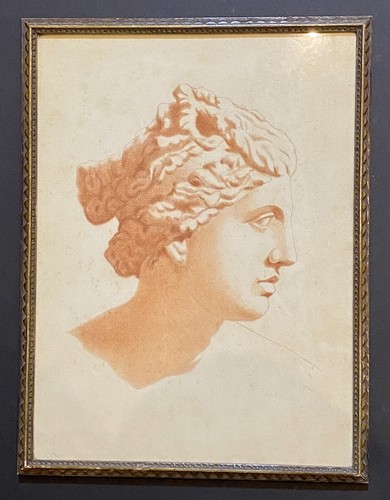 Disegno antico sanguigna xix - sanguigna,,