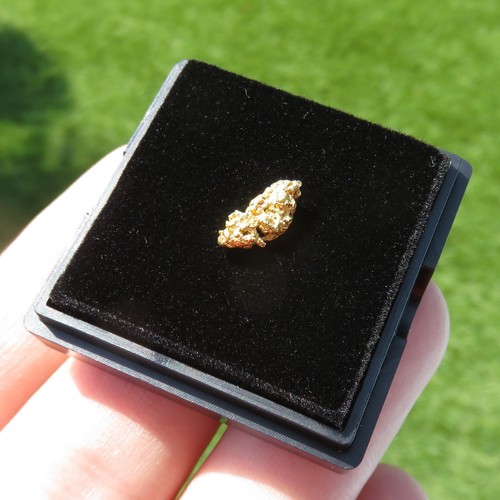 Minerali pepita d oro - minerali, ***