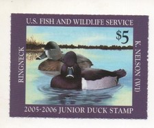 Junior Duck Stamp USA papier