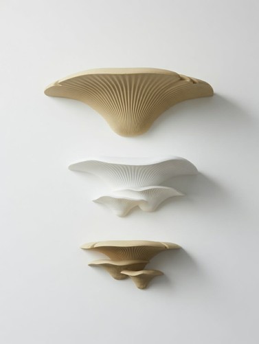 Mensola per funghi 3 - -, misure