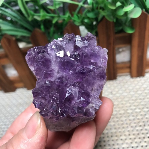 116g ametista naturale geode