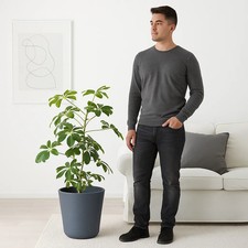 Ostlig ikea vaso piante - ostlig,