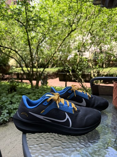 Nike air zoom pegasus uomo - 40,