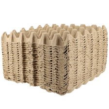 20pz Polpa Biodegradabile 30