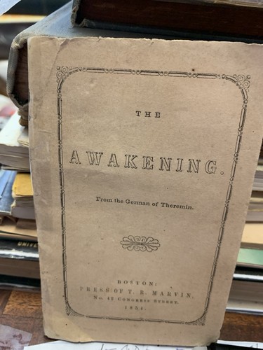 The awakening from - the,