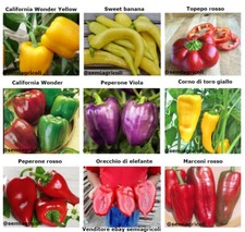 180 SEMI DI PEPERONE in MIX IN 9 VARIETÀ + OMAGGIO