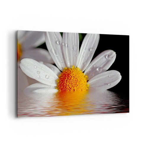 Quadro tela 120x80cm erbe - su,