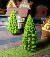 5 Verde Chiaro Abeti, Conifere, 95 MM Alto