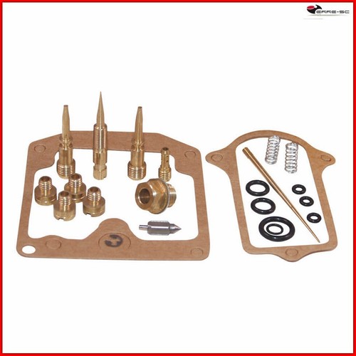 Kit revisione carburatore - revisione,