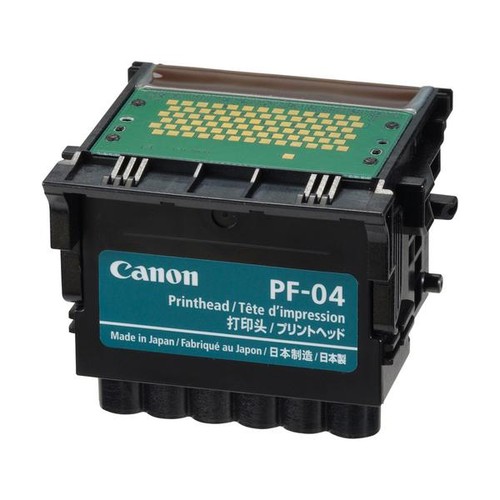 Canon testina di - testina,