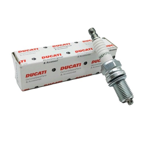Candela champion ra6hc ducati - champion,