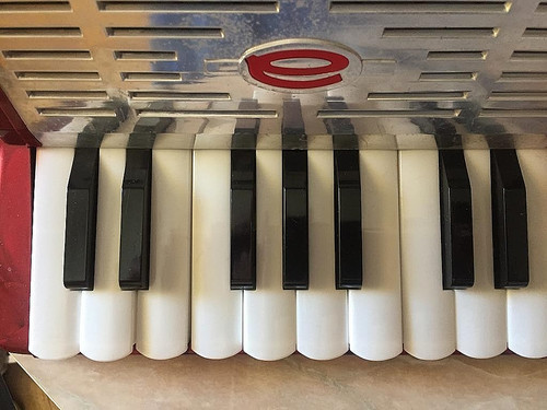 Fisarmonica antonelli - fisarmonica,