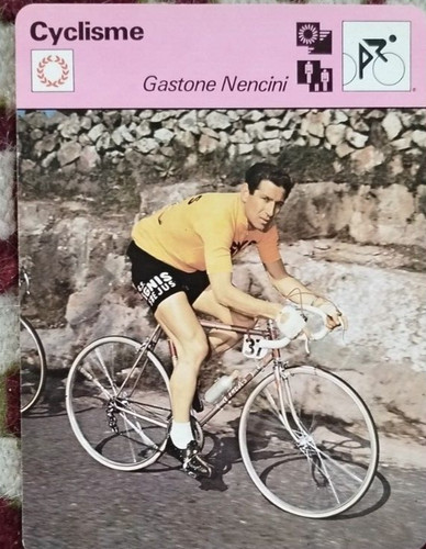 Gastone nencini ignis - gastone, maglia