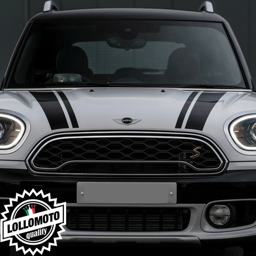 Strisce cofano mini - mini, 2018
