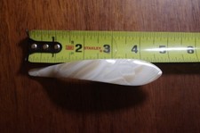 Ficcare Maximas Fermaglio per