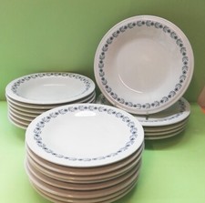 RICHARD GINORI 20 PIATTI CON FIORI BLU PIANI FONDI DESSERT PORCELLANA BIANCA 