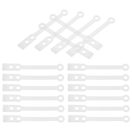 Pcs fascia elastica - fascia,