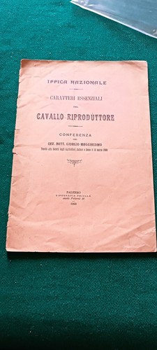 Ippologia cavalli monta - da,