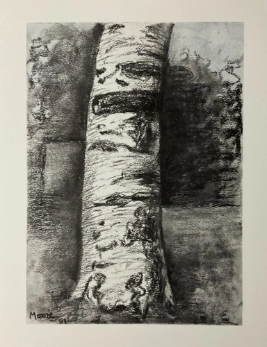 Henry moore beech - ,