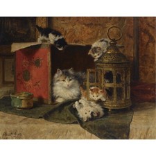 Madre e gattini che giocano