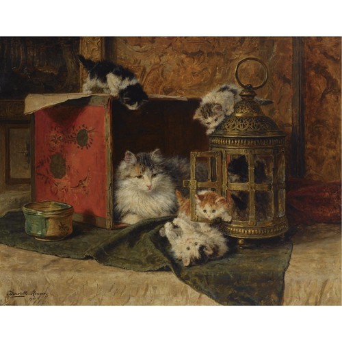 Madre gattini che - madre,