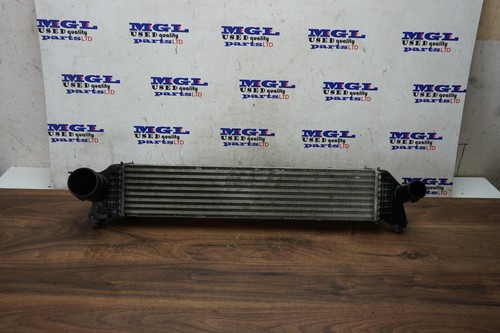 As23 t gdi - mg, radiatore