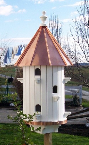 Casetta per uccellini fori - casetta,