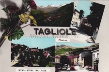 TAGLIOLE - Modena, Vedute, Fiori, Cartolina 1968