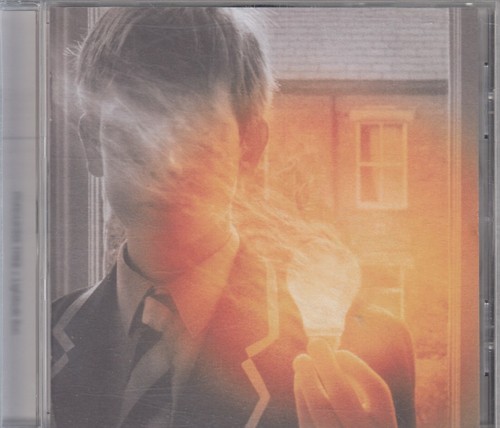 Porcupine tree lightbulb sun - tree, "lightbulb