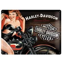 Targa Insegna Metallo Harley