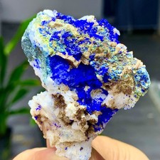 62G MIGLIORI esemplari di