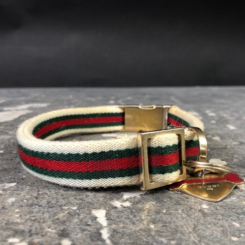 Collare cane gucci funzionante - cane,