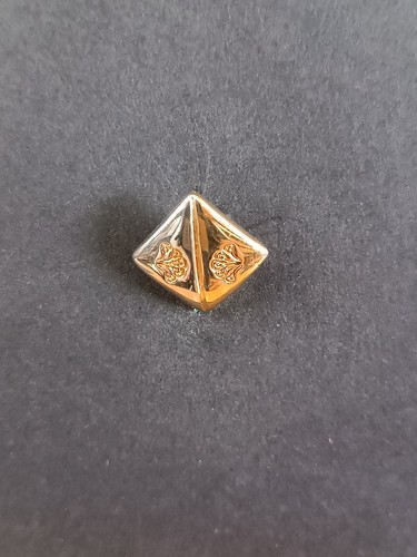 Pins spilla badge stemma - pins,