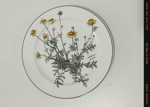 Piatto porcellana villeroy - piatto,