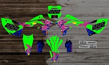 Kit grafiche CRYSTAL KAWASAKI