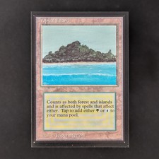 MTG \\>> Tropical Island (NM)