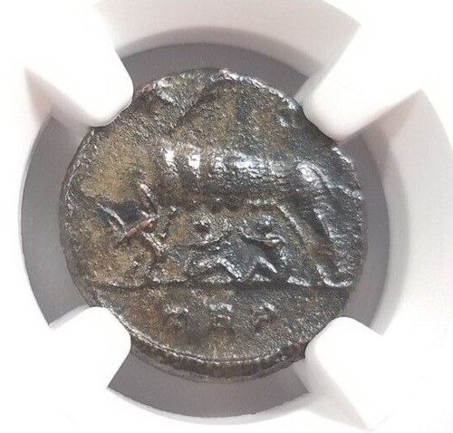 Gemelli lupo costantino - lupo, ngc
