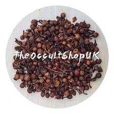 Nagkesar Semi - Cobra