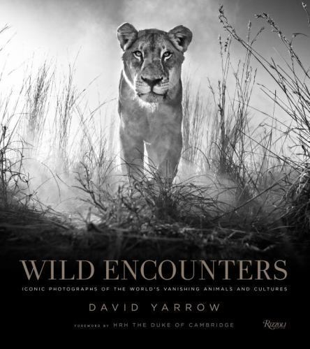 Wild encounters iconic - wild,