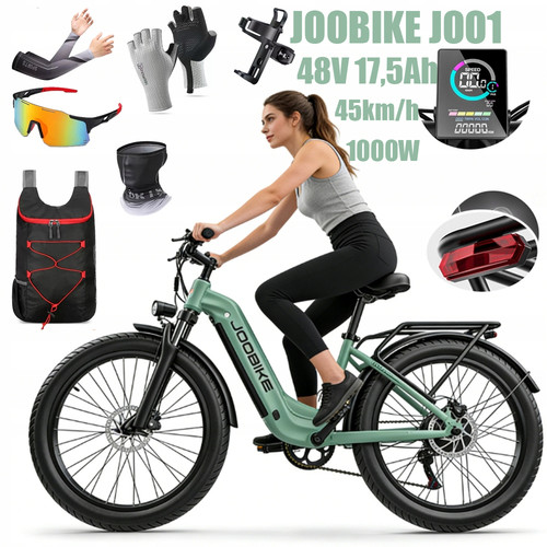 Bicicletta elettrica