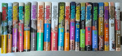 Slam dunk set completo - dunk,