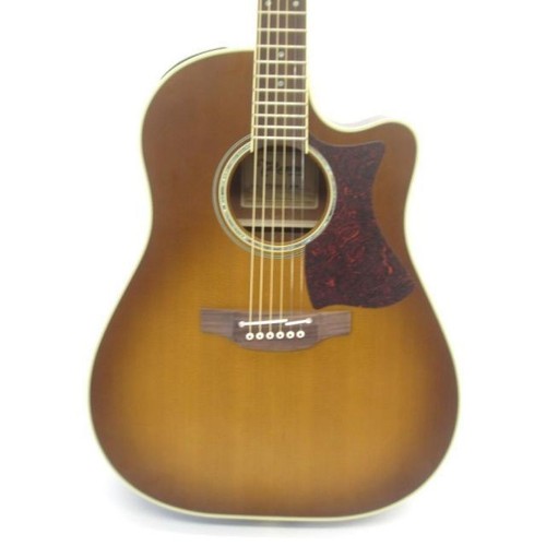 Chitarra elettrica acustica