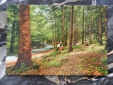 20103) PISTOIA PROVINCIA