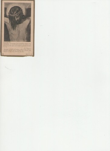 Morici vincenzo immaginetta - vincenzo,