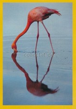 Panini National Geographic -