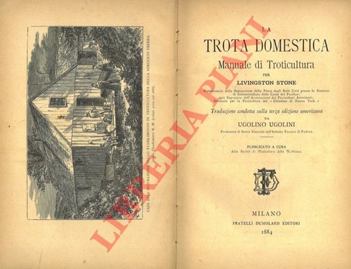 Stone livingstone la trota - livingstone,