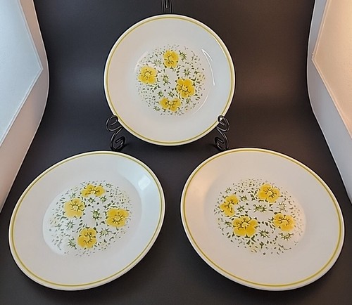 Piatti vintage corelle - 3,
