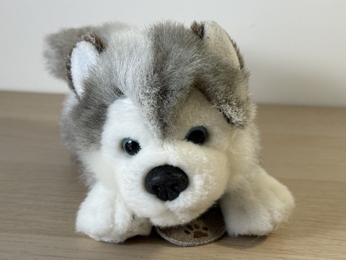 Chiglia giocattoli husky - chiglia,